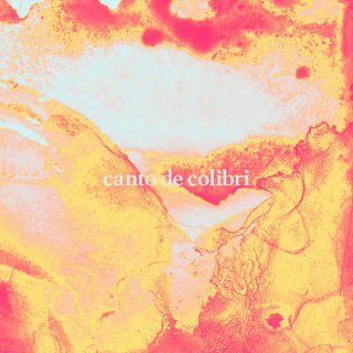 Capa de Canto de Colibri | Colibri