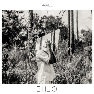 Capa de ƎH⅃O | Wall Cardozo