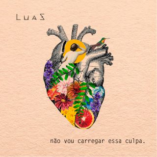 Capa de Não Vou Carregar Essa Culpa | Luaz